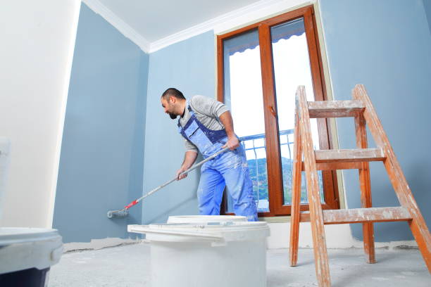 Best Ceiling Drywall Installation  in Lake St Croix Beach, MN